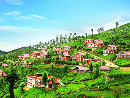 Ooty & Mysore