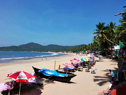 Go Goa!