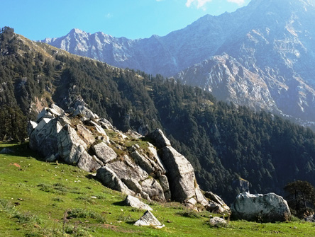Exotic Himachal