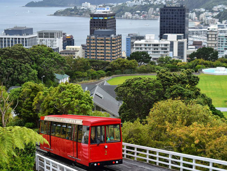 Best of New Zealand